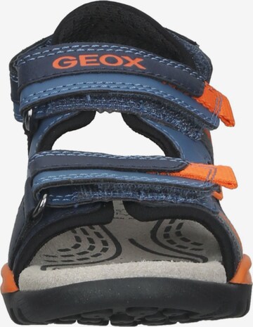 Chaussures ouvertes GEOX en bleu