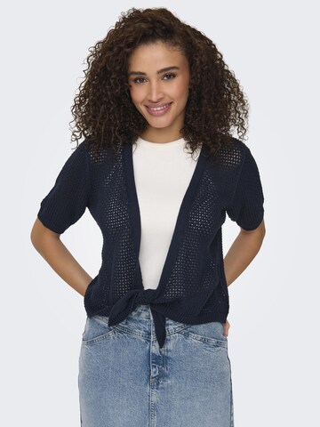 JDY Strickjacke 'Mehedi' in Blau: Vorderseite
