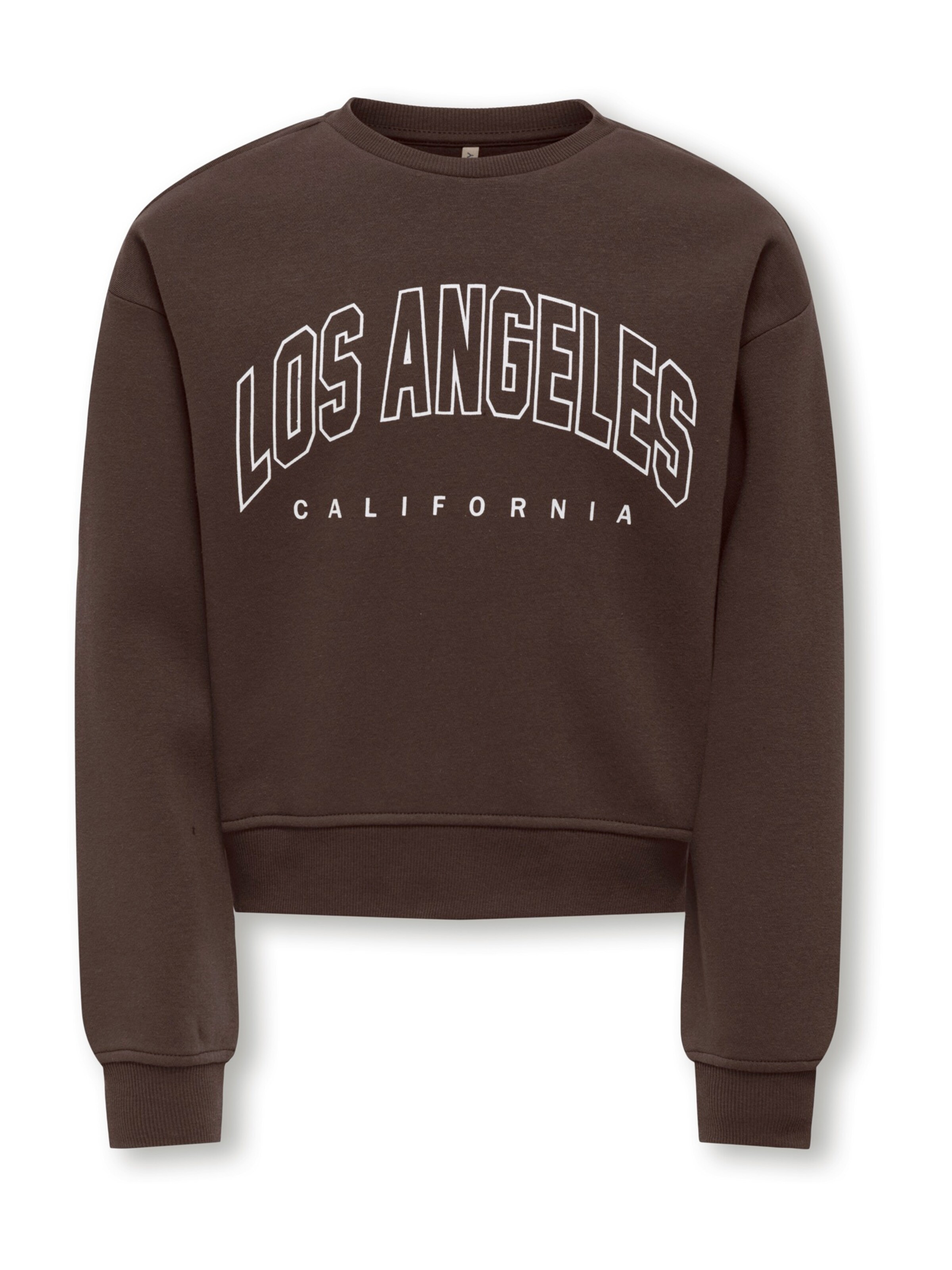 ONLY GIRLS Sweatshirt 'KOGSWEAT' in Brown: front