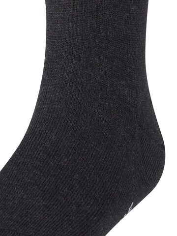 FALKE Socks 'Family' in Grey