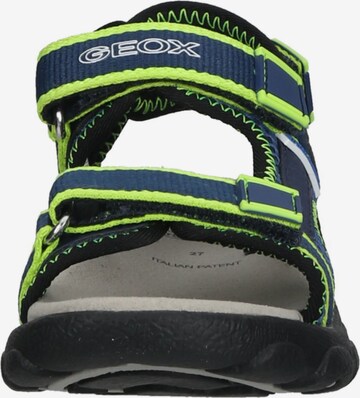 GEOX Sandals & Slippers in Blue