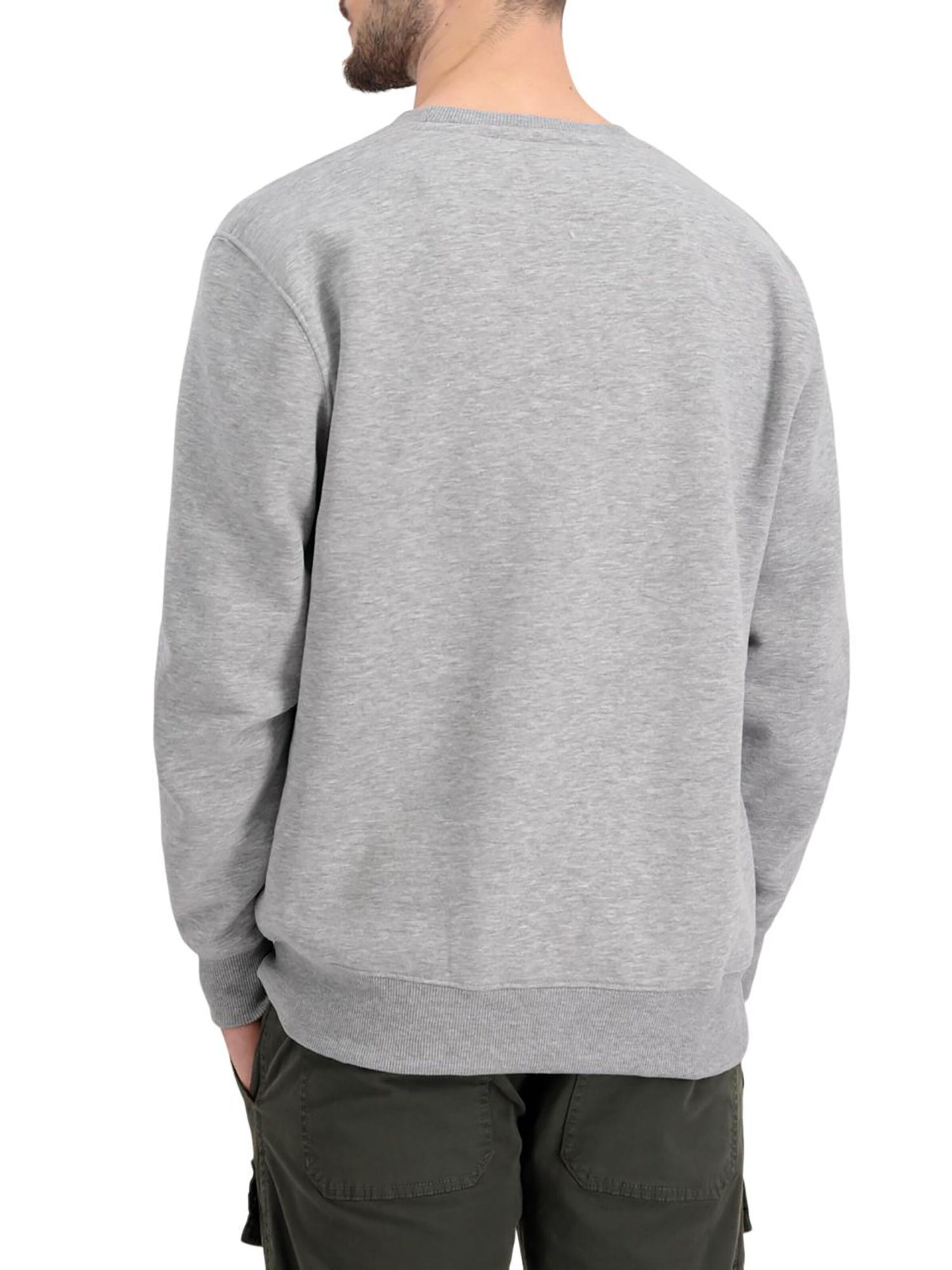 ALPHA INDUSTRIES Sweatshirt in Grey