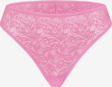 Erlich Textil Slip 'Iconic Lace' in Pink: Vorderseite