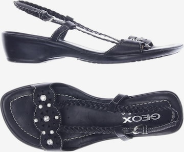 GEOX Sandals & High-Heeled Sandals in 35 in Black: front