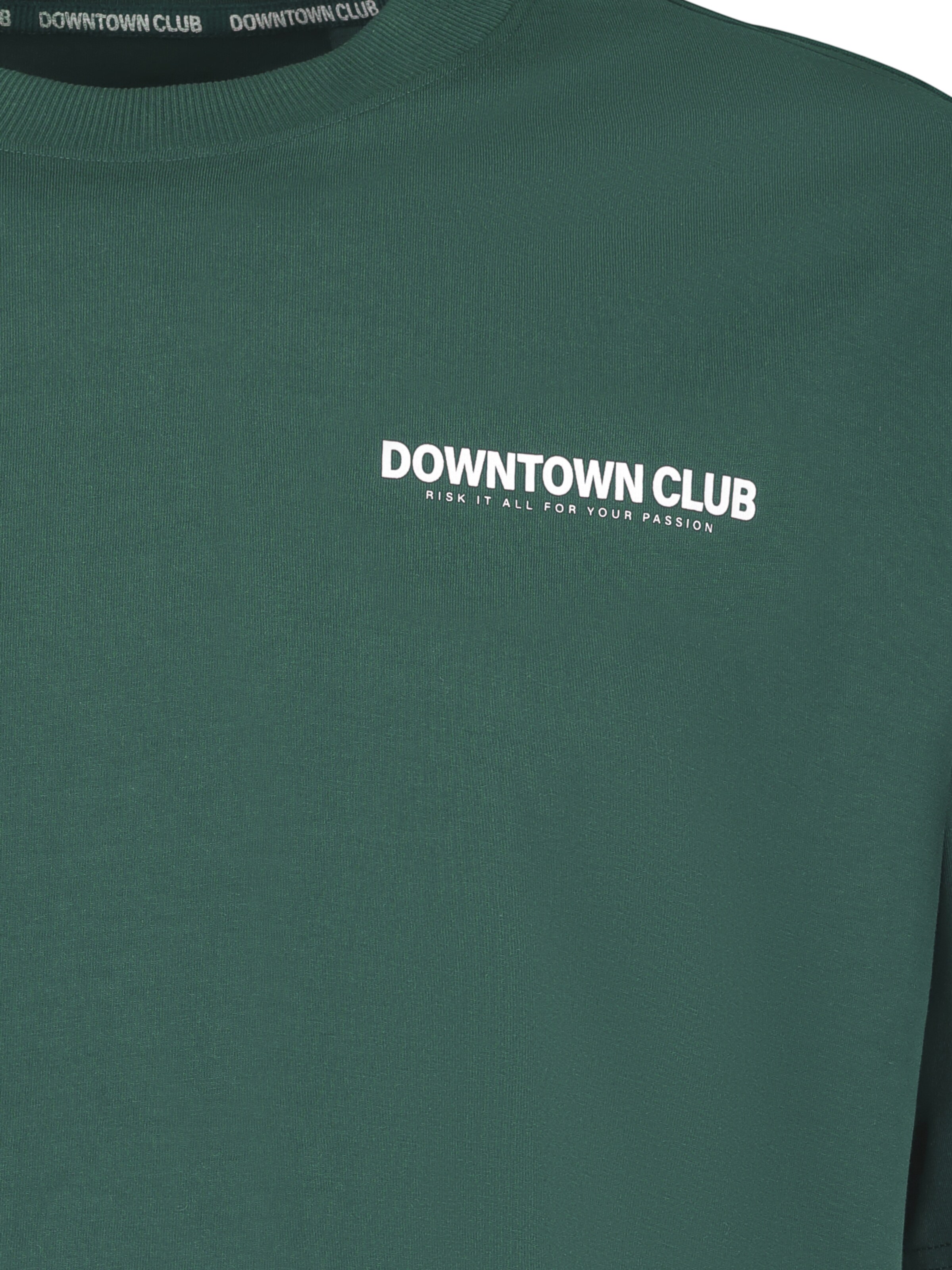 Sublevel T-Shirt 'Club' in Grün