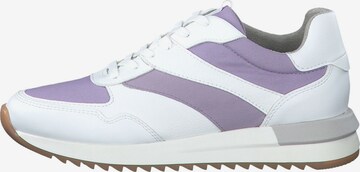 Baskets basses TAMARIS en violet