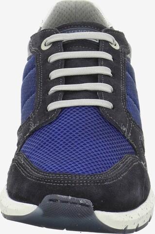 SALAMANDER Sneakers laag in Blauw