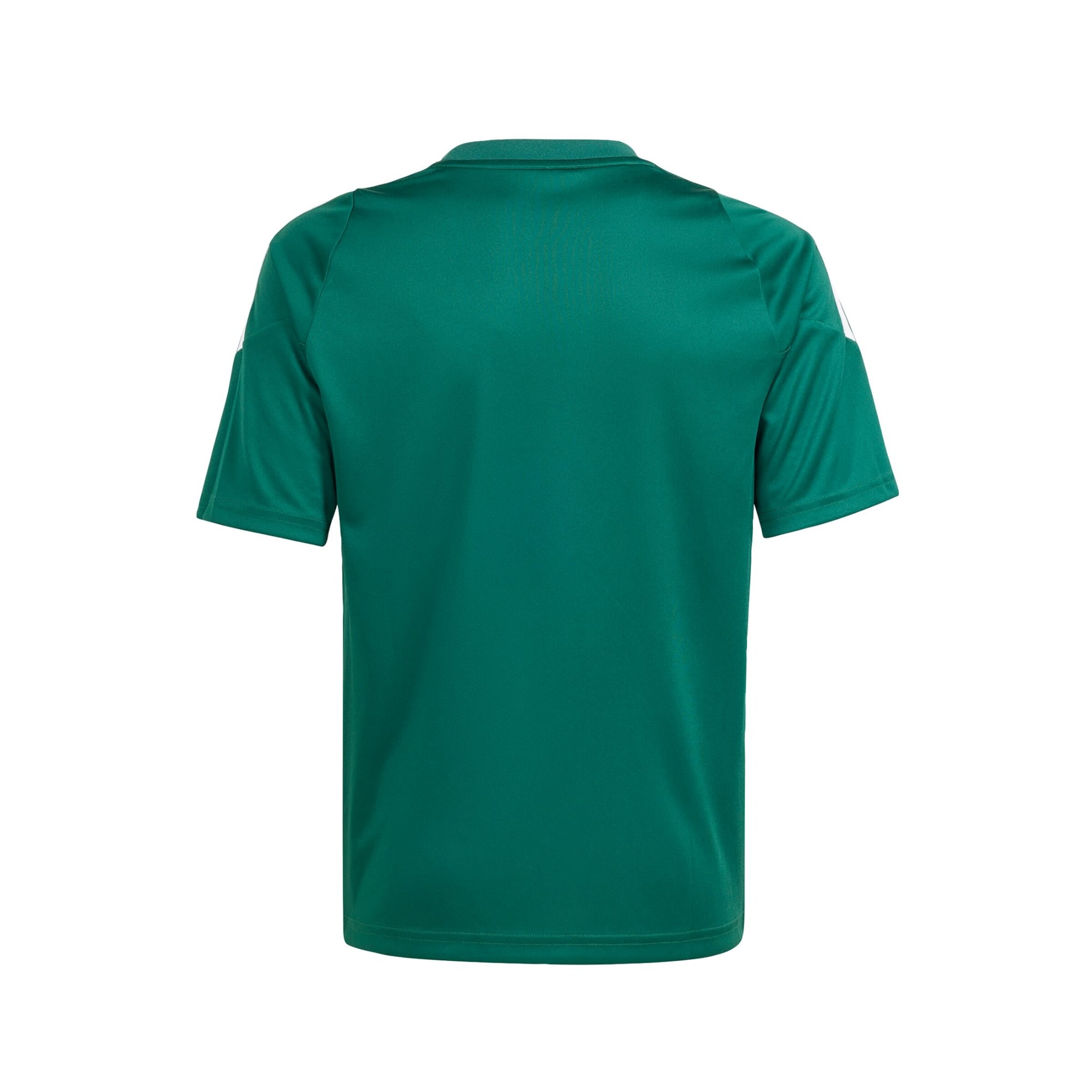 ADIDAS PERFORMANCE Funktionsshirt 'Tiro 24' in Grün