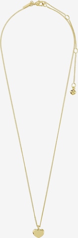 zelts Pilgrim Ķēdīte 'Arin': no priekšpuses