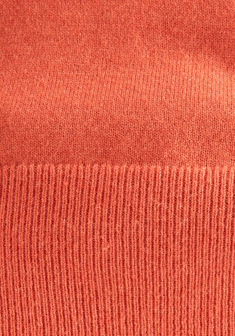 HECHTER PARIS Sweater in Orange
