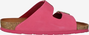 ROHDE Pantolette in Pink