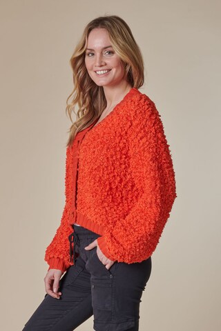 Zhrill Strickjacke in Orange