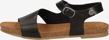 COSMOS COMFORT Sandals in Black