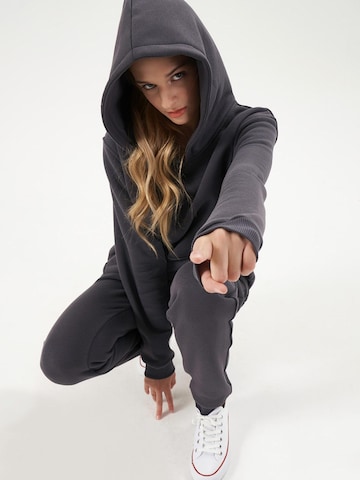LOUIS LECLER Sweatshirt 'Nora' in Grau