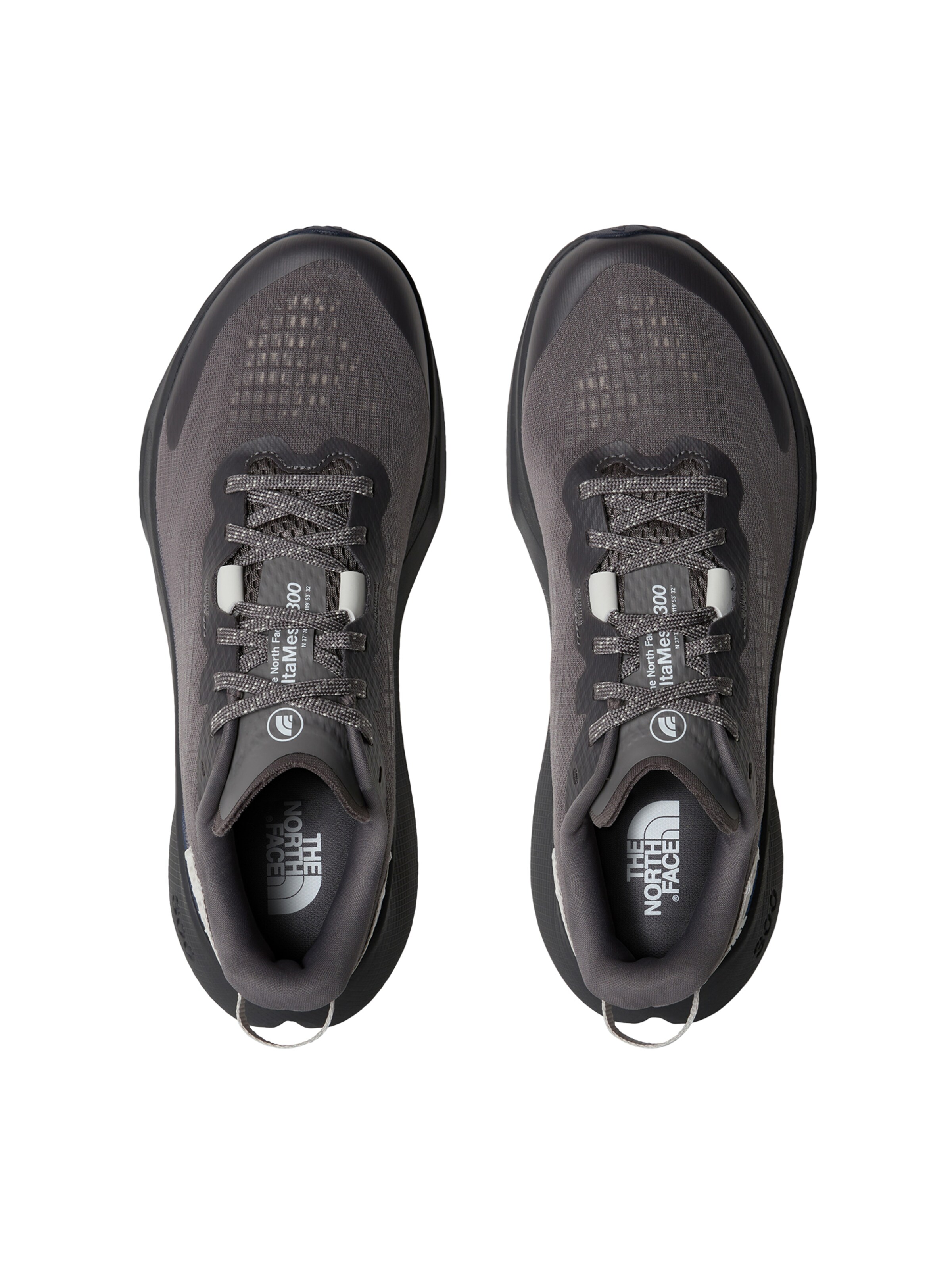 Chaussure basse 'Altamesa 300' THE NORTH FACE en gris