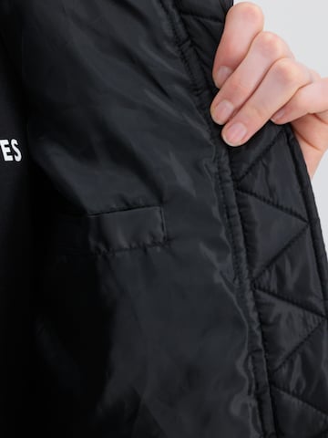 ALPHA INDUSTRIES Χειμερινό μπουφάν σε γκρι