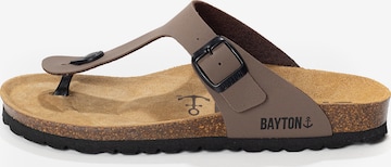 Bayton Varvastossut 'MERCURE' värissä harmaa: etupuoli