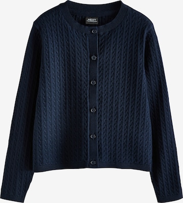 Next Knit cardigan in Blue: front