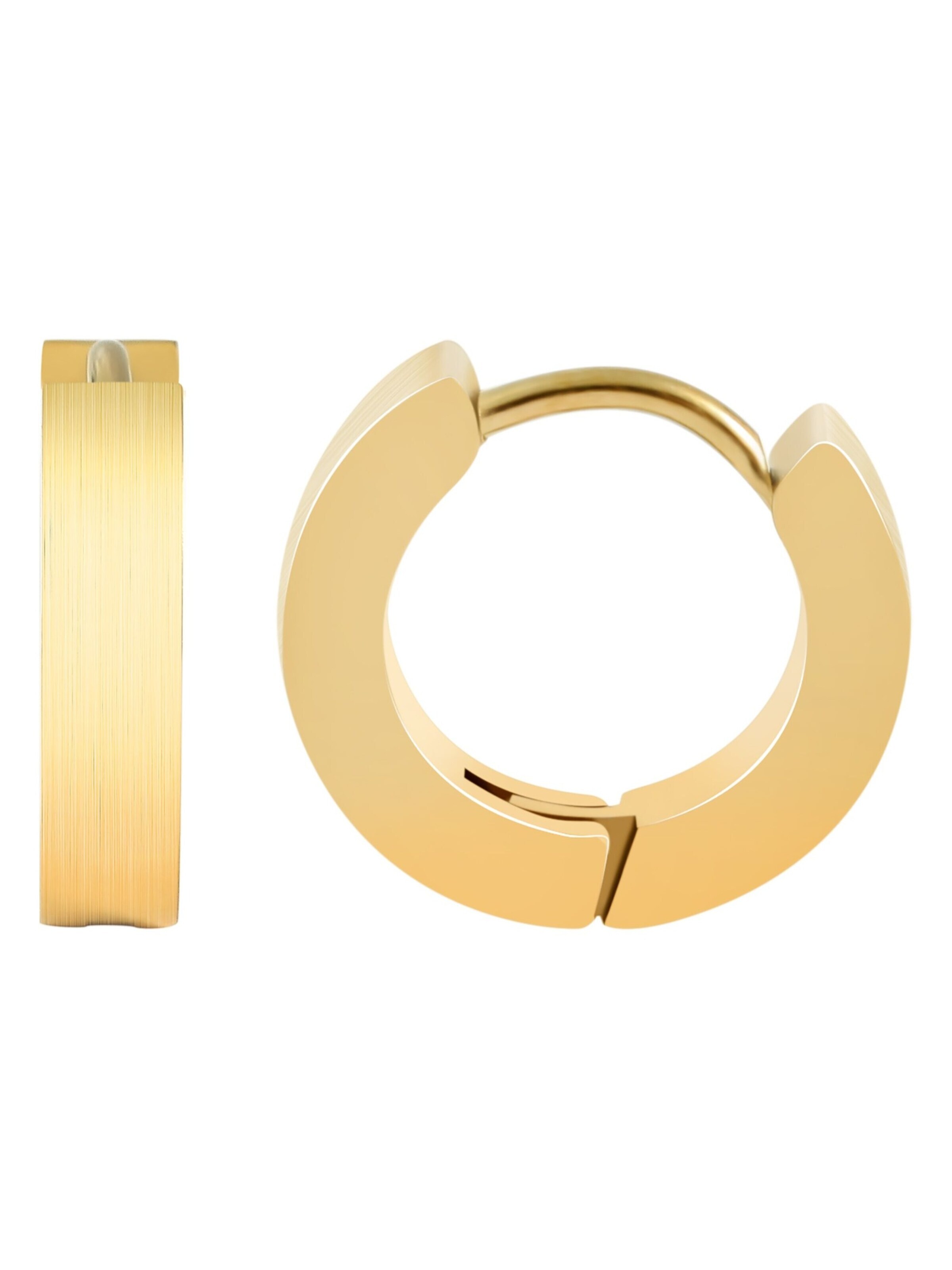 Akzent Earrings 'Inu, hautverträglich' in Gold