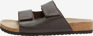 SELECTED HOMME Pantolette in Braun: predná strana