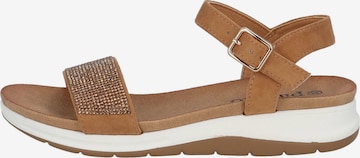 Palado Sandals 'Notan' in Brown