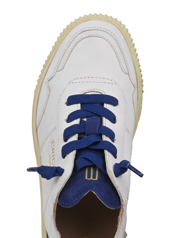 Crickit Sneaker ' OAKLI ' in Weiß