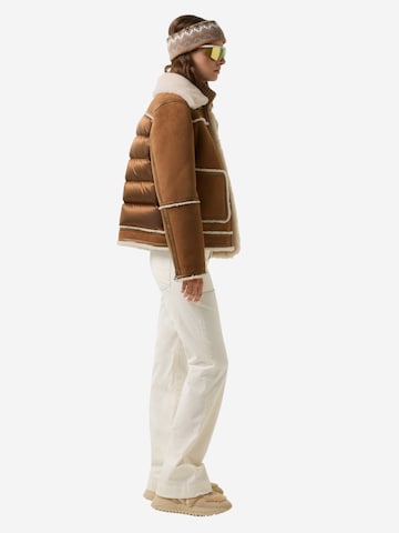 BOGNER Winter Jacket in Brown