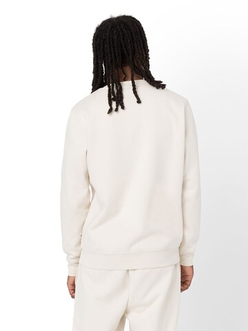 DICKIES Tréning póló 'Oakport' - szürke