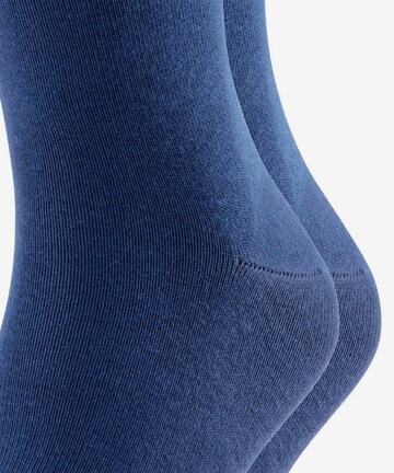 FALKE Socken in Blau