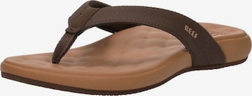 REEF Zehentrenner 'Cushion Melody' in Braun: Vorderseite