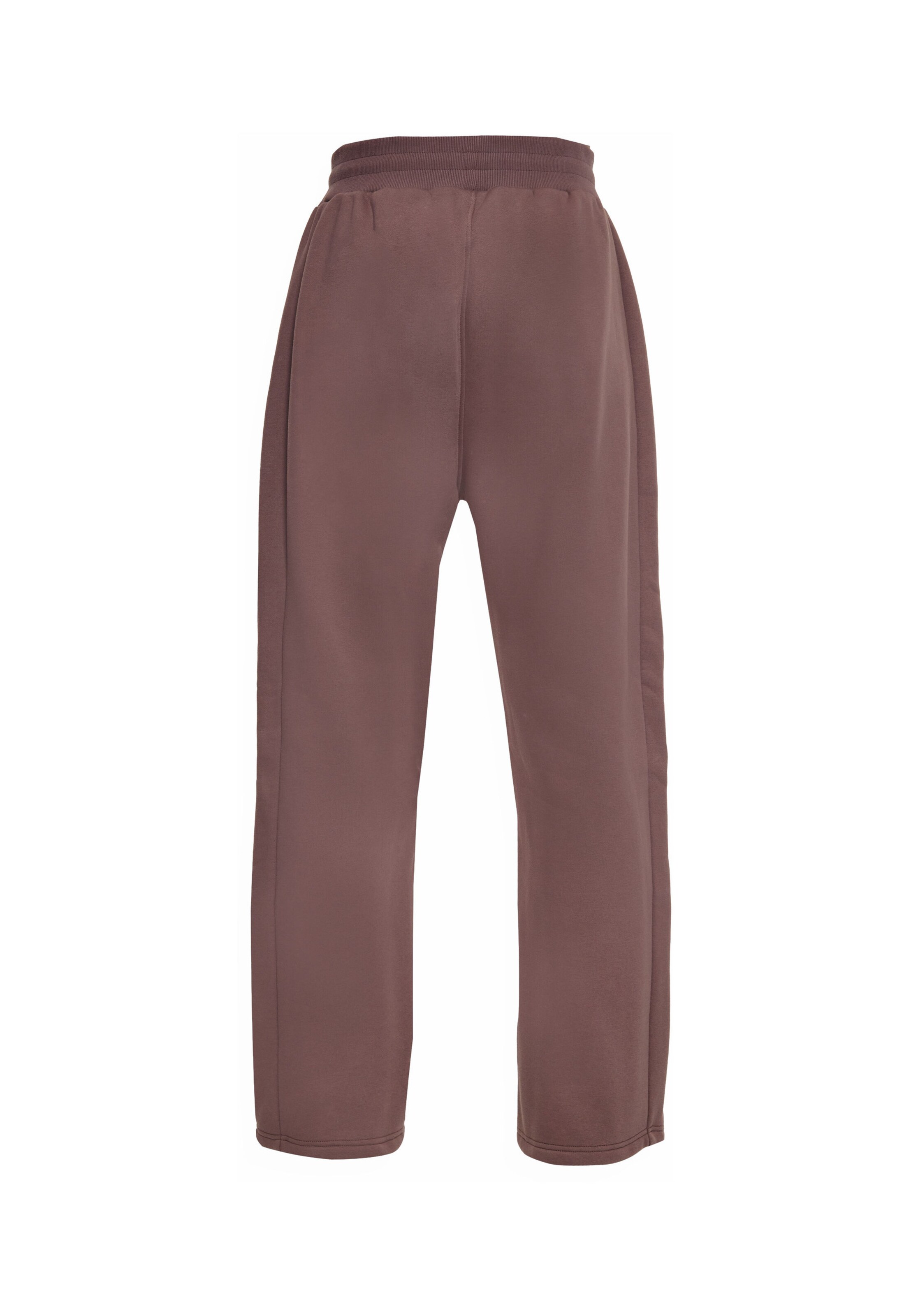 Dropsize Regular Broek in Bruin
