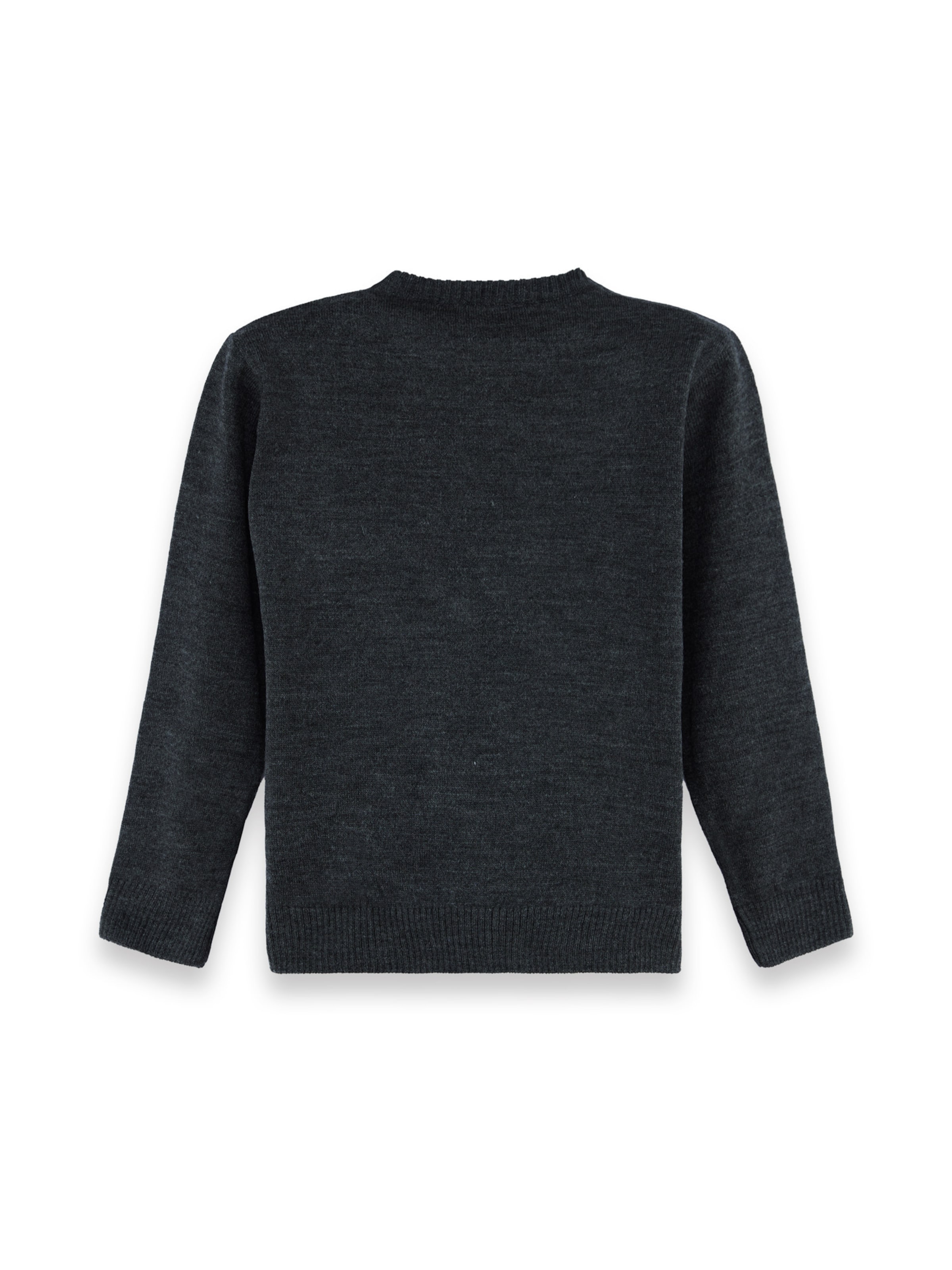 Denokids Trui ' CFF-25S1-055 ' in Grijs