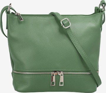 Cluty Crossbody Bag in Green: front