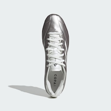 Scarpa da calcio 'Copa Pure IV Club' di ADIDAS PERFORMANCE in grigio