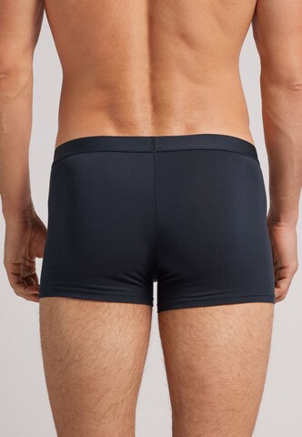 INTIMISSIMI Trunks 'HOLLY E BENJI™ HOLLY' in Blau