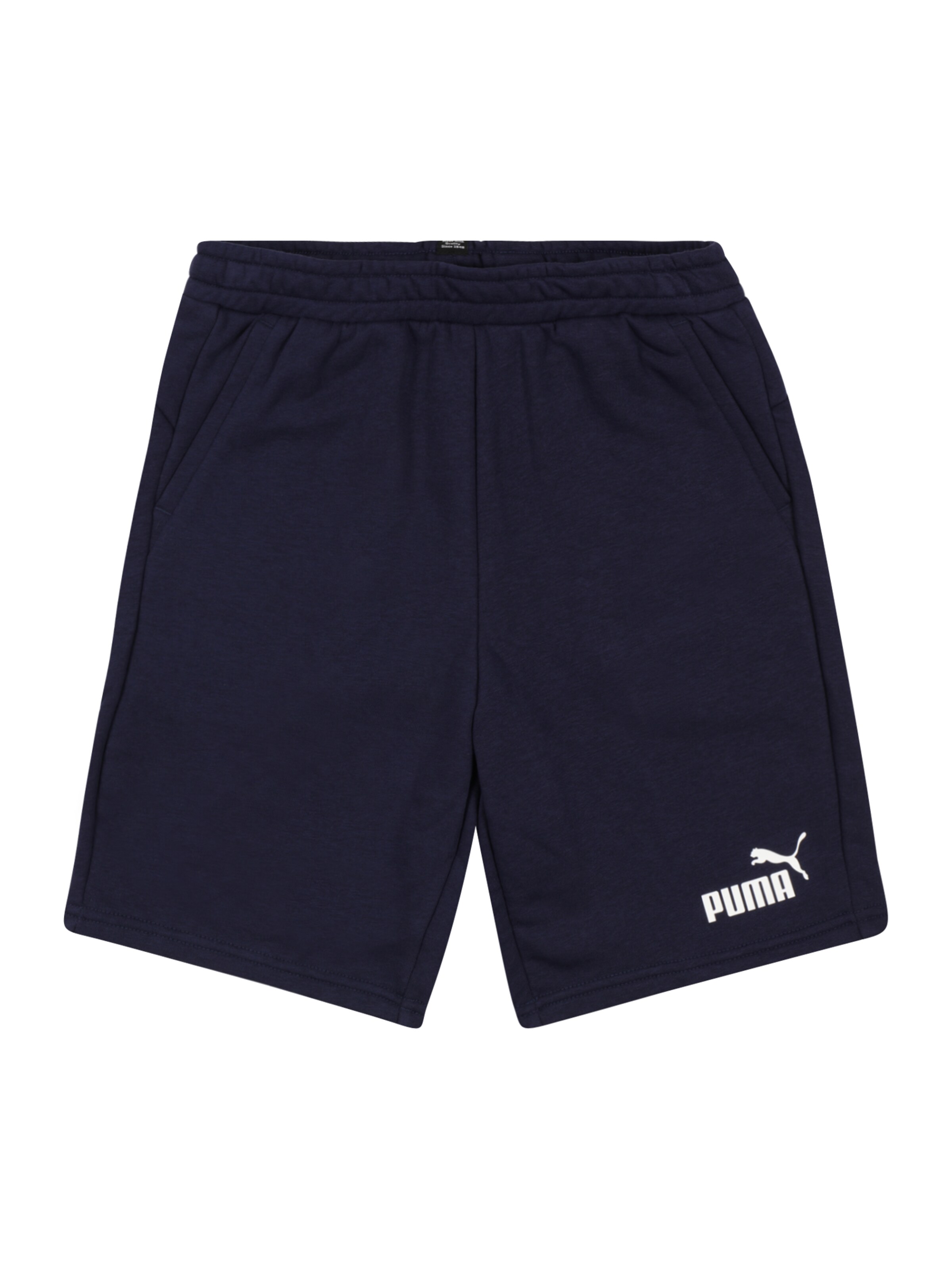 PUMA Pants in Blue: front