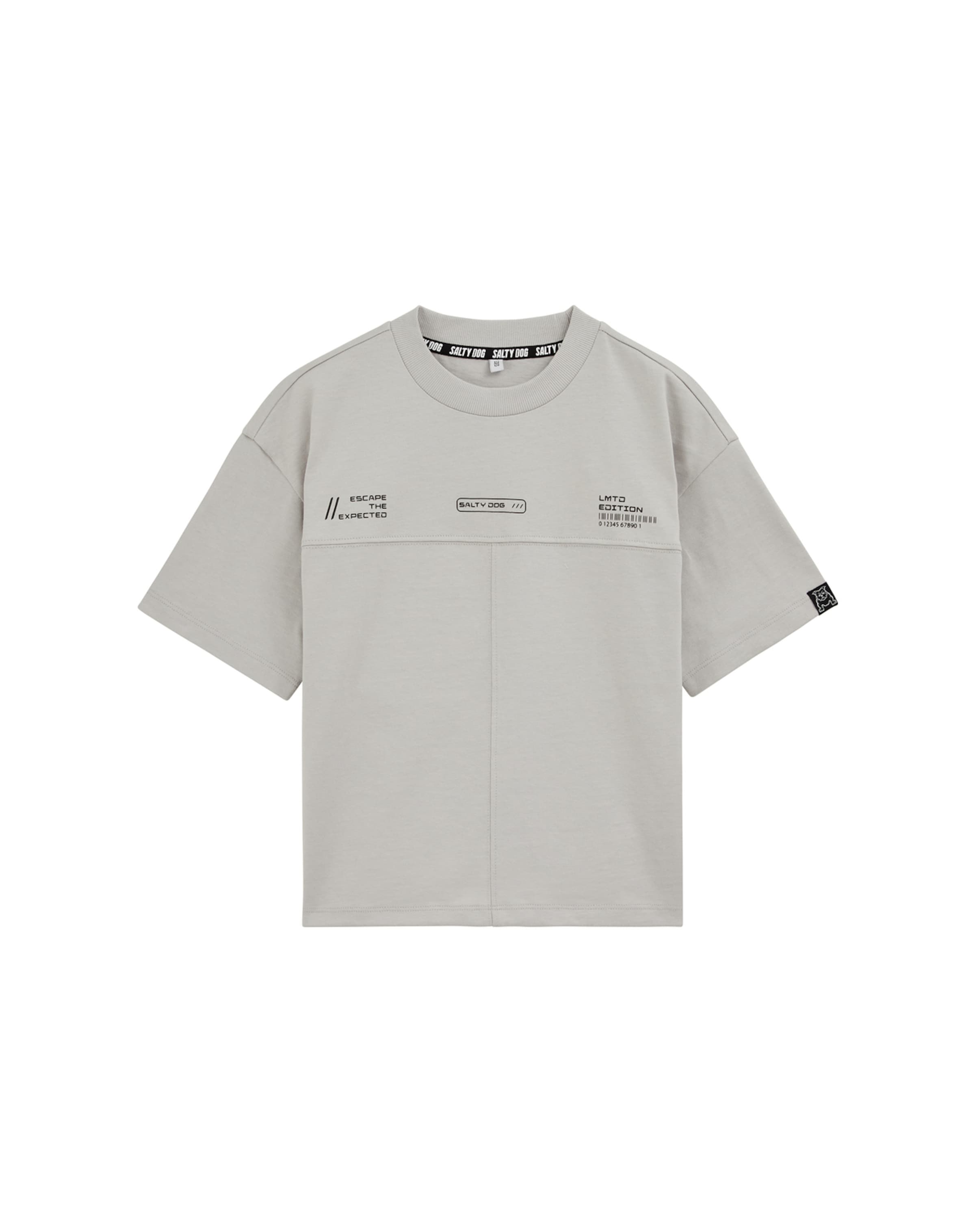 T-Shirt WE Fashion en gris : devant