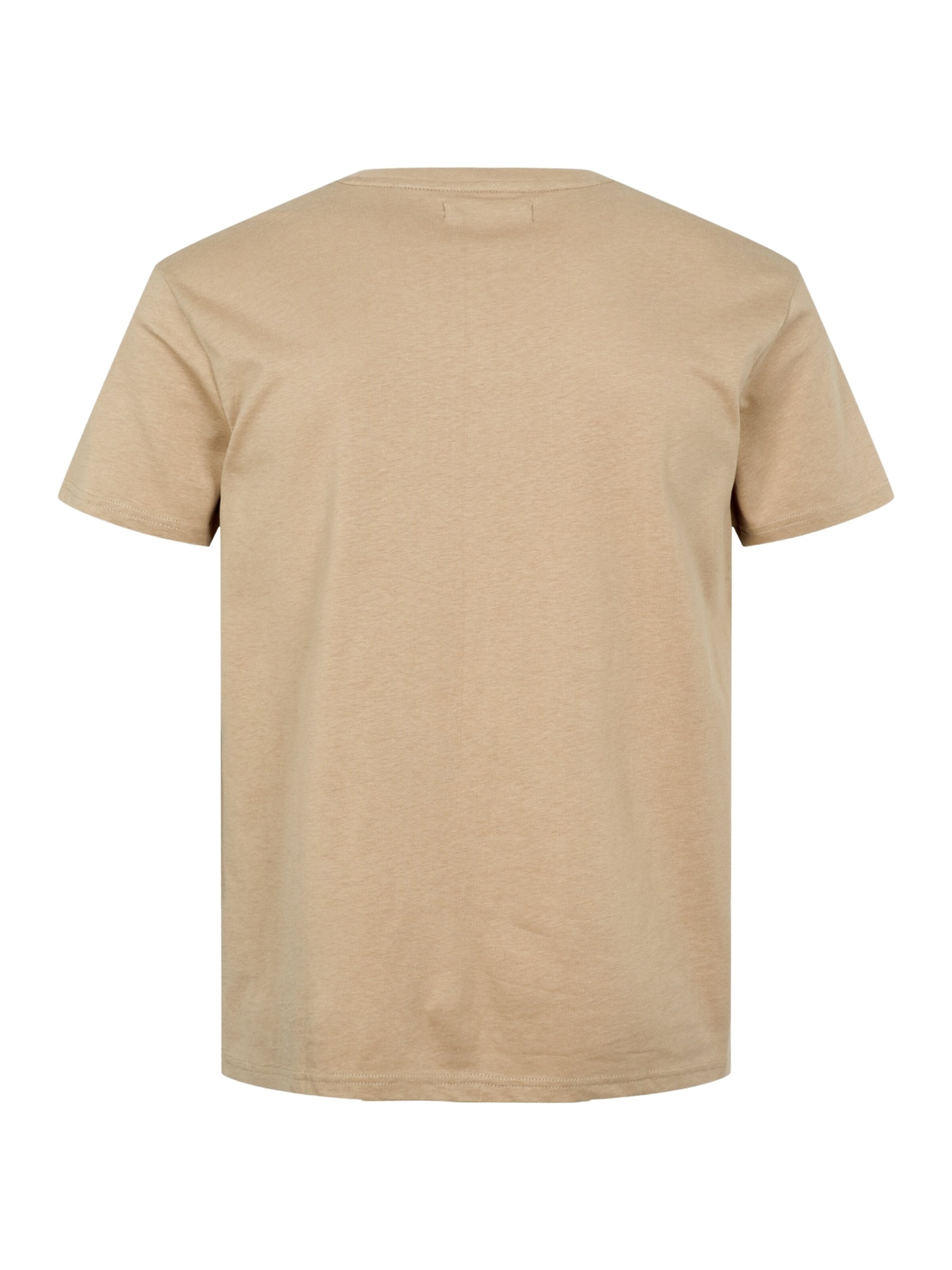 U.S. POLO ASSN. Regular fit Overhemd 'Arjun' in Beige