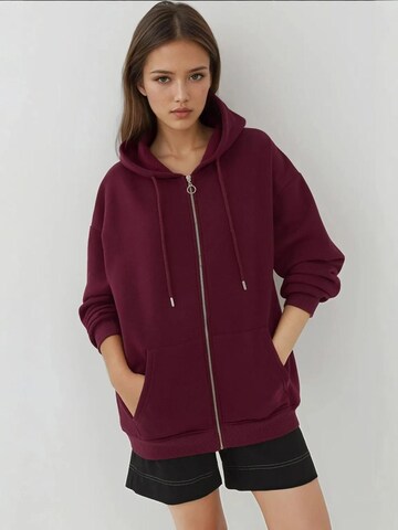 Hiccup Sweatjacke in Rot: Vorderseite