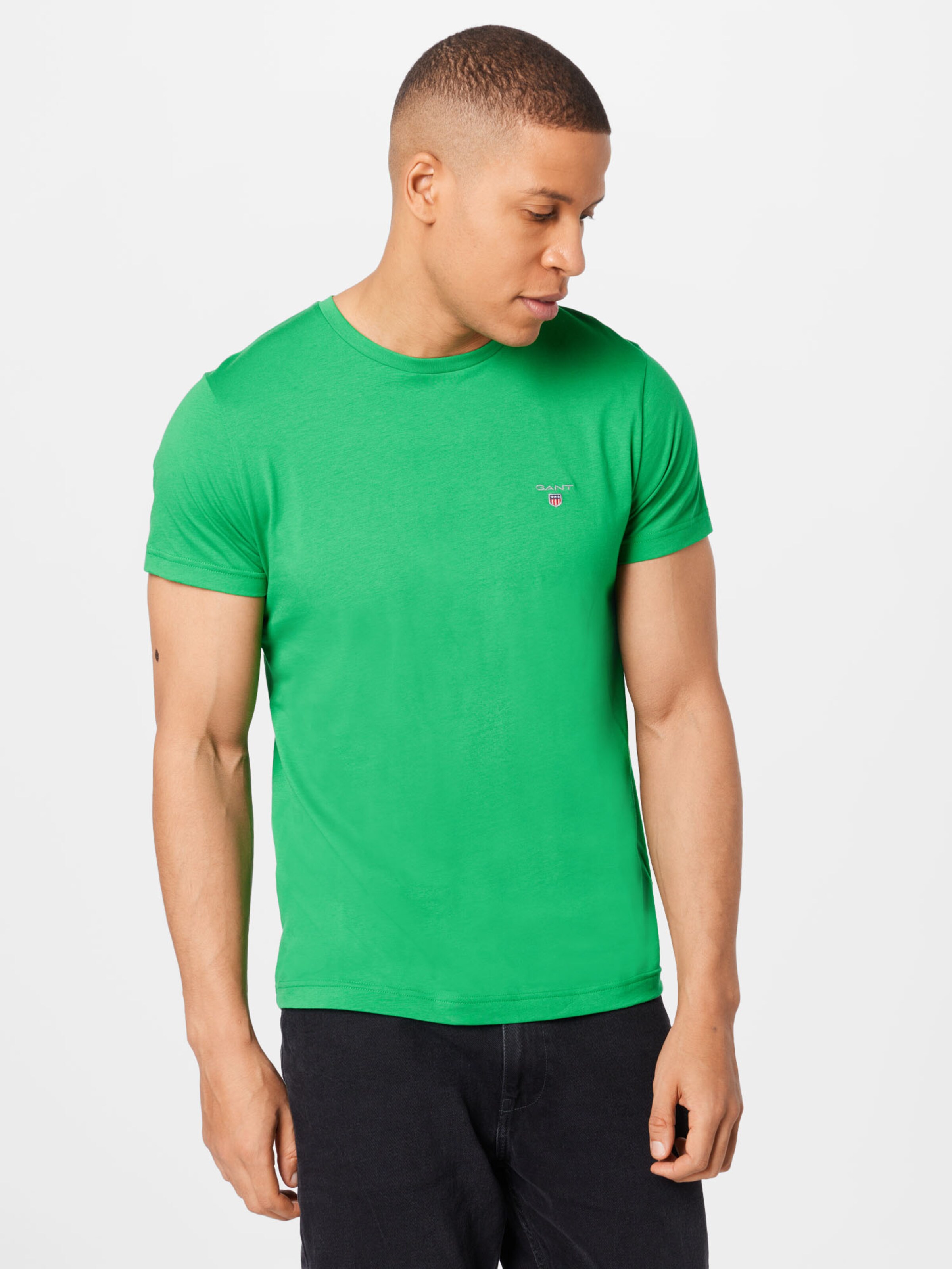 Männer Shirts GANT T-Shirt in Grün - IC75673