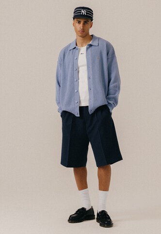 BLKVIS Wide leg Pleat-Front Pants in Blue
