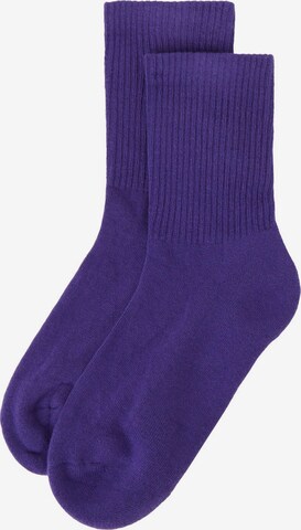 CALZEDONIA Socks in Purple: front