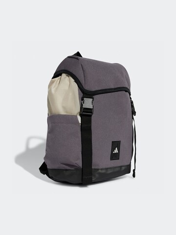 ADIDAS PERFORMANCE Sports backpack 'City Explorer' in Grey