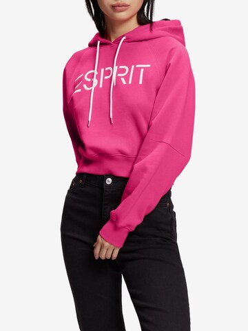 ESPRIT Sweatshirt in Pink