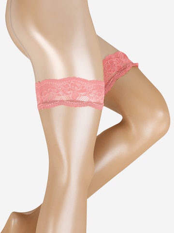 Hunkemöller Hold-up stockings in Pink