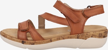 REMONTE Sandals in Brown