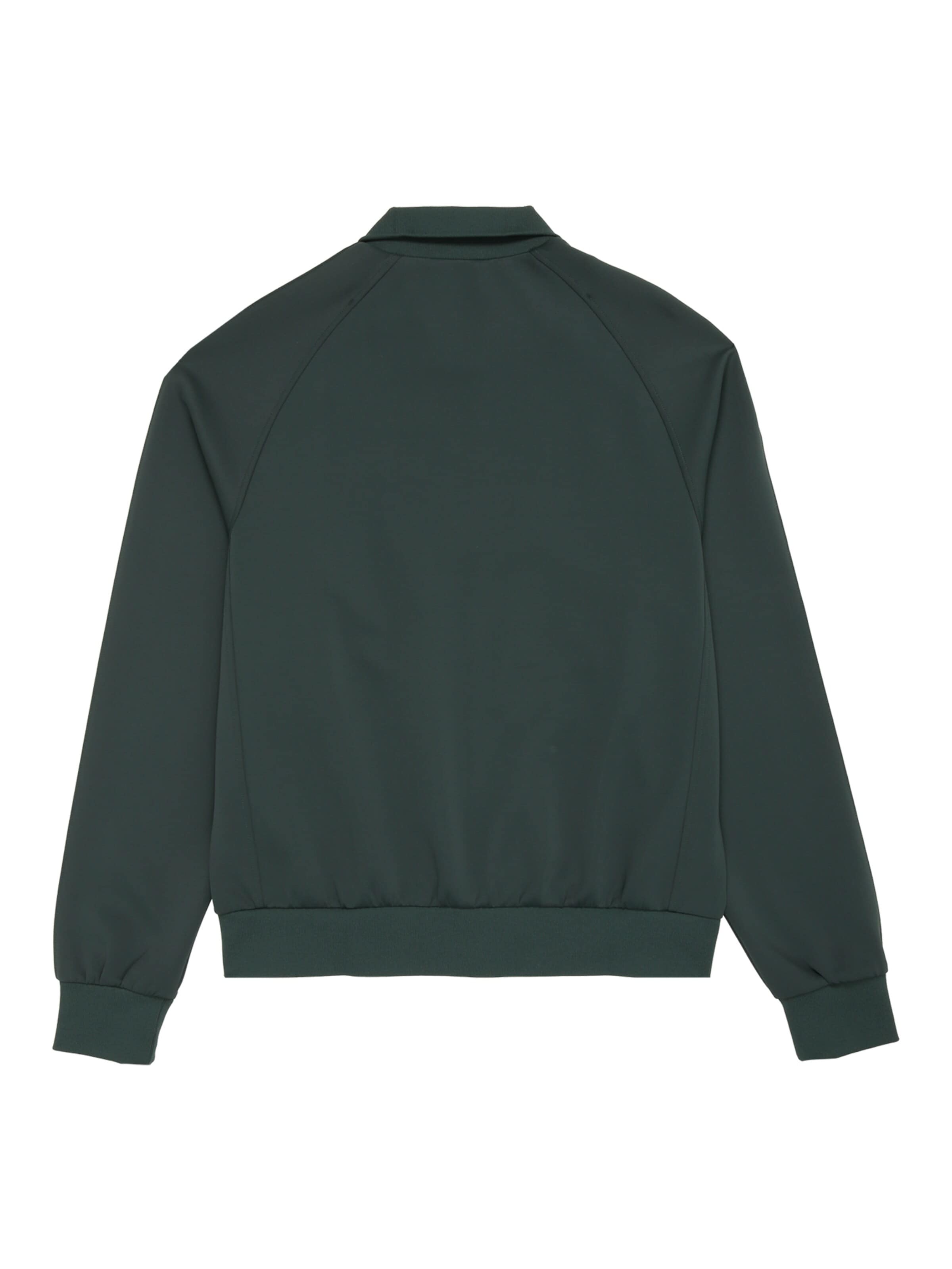 Veste de survêtement 'CAVALESE regular track jacket' FILA en vert