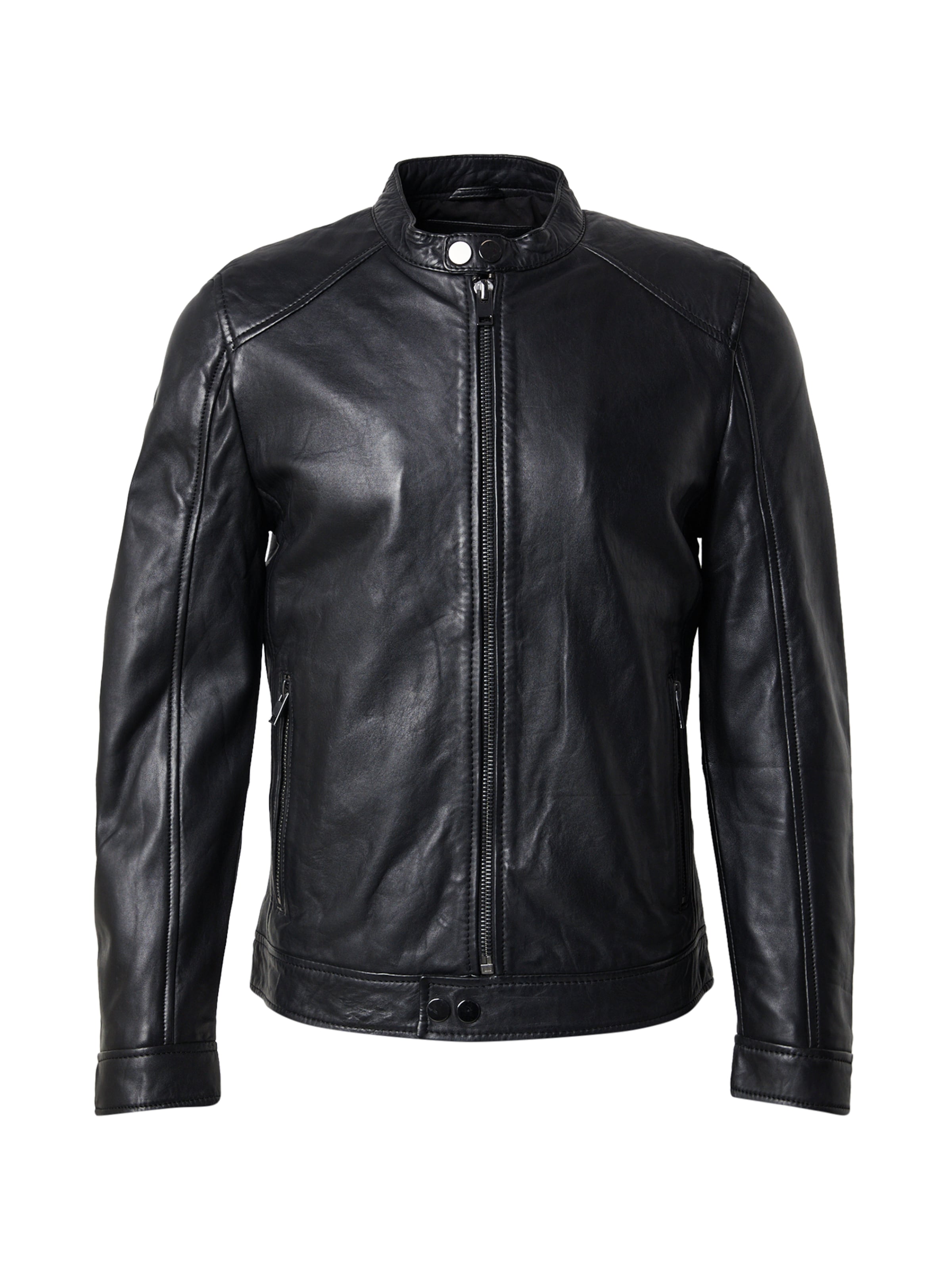 melns Mauritius Starpsezonu jaka 'Tibor': no priekšpuses