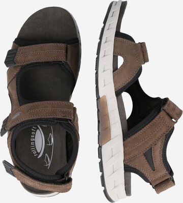 Pius Gabor Sandals in Brown