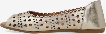VENEZIA Ballet Flats in Gold: front